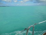 BOAT TRIP West End to Spanish Cay, Bahamas 122