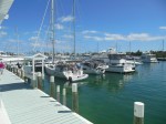 Silver Maple docked in Hopetown (in the middle)