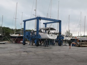 Putting Silver Maple on the crane