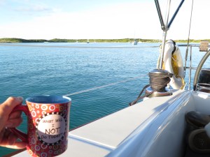 Relaxing morning in Royal Harbour