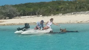 Feeding pigs from our dingy (taken by Emerald Lady)