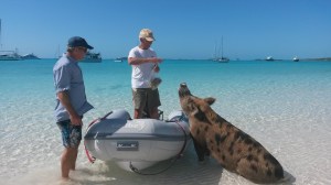 He knows how to sit! Too funny!