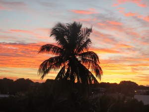 Sunrise on launch day over New Plymouth