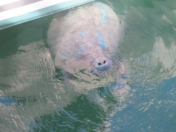 SAILING 2015 Nov 15 to Nov 20 004