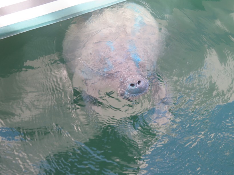 SAILING 2015 Nov 15 to Nov 20 004