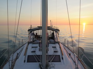 Silver Maple at Sunrise.