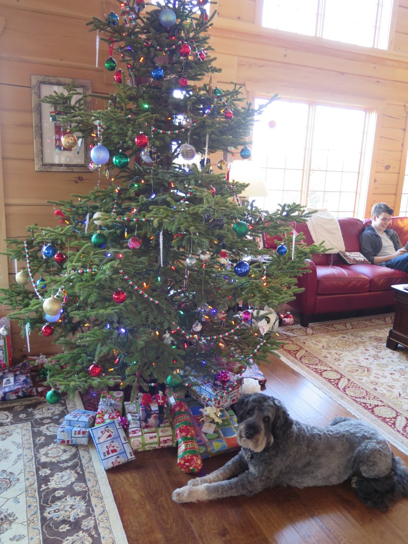 SAILING 2015 and Home Dec 20 to Dec 24 002