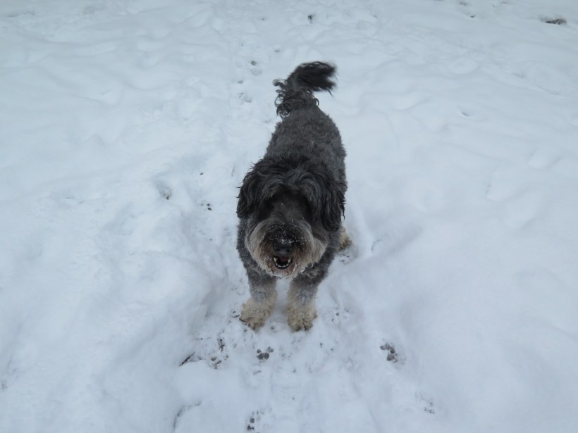 SAILING 2015 Dec 15 to Dec 20 021