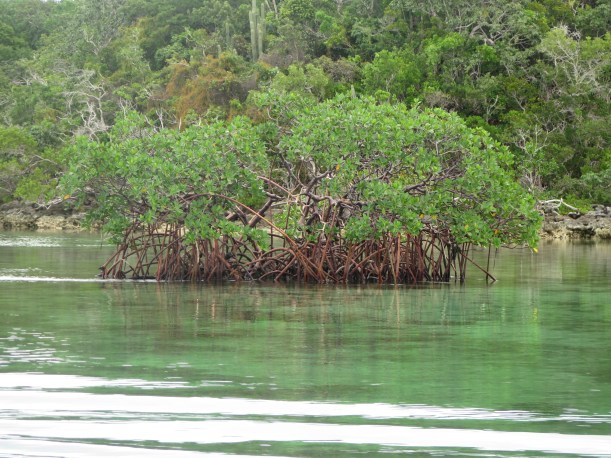 SAILING 2015 Dec 5 to Dec 12 151