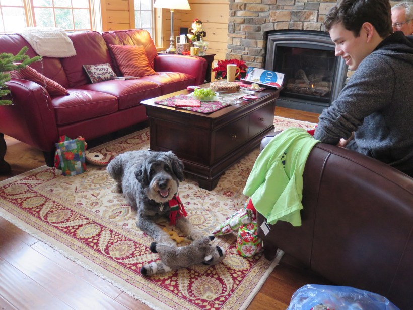 SAILING 2016 and Home Dec 24 to Jan 15 004