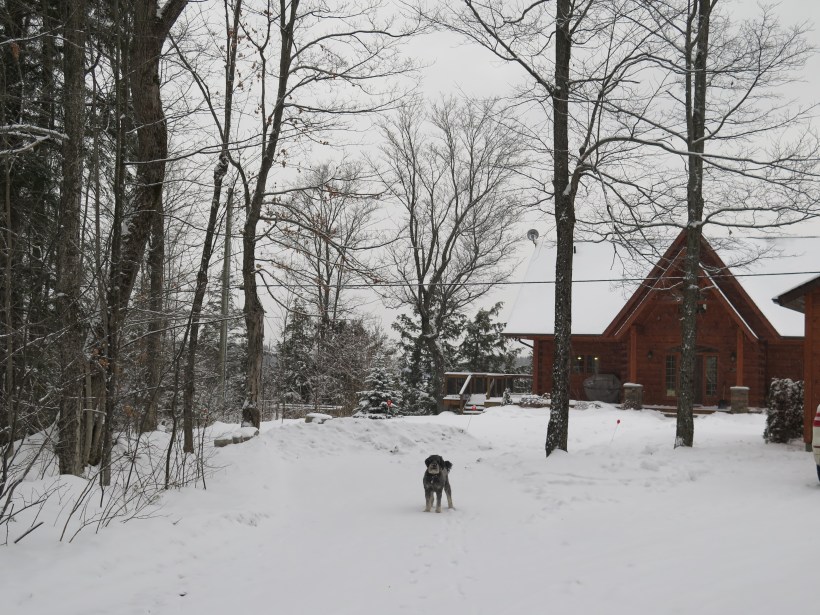 SAILING 2016 and Home Dec 24 to Jan 15 015