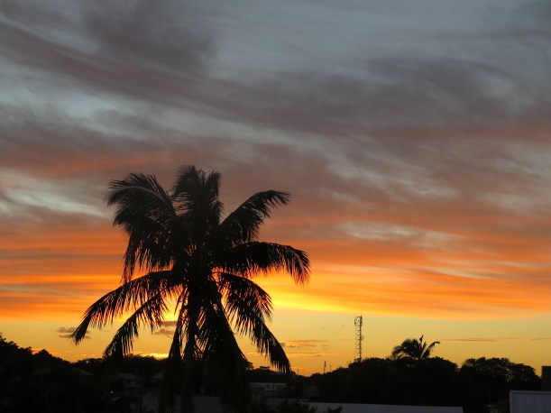 SAILING 2016 Feb 5 to Feb 28 044