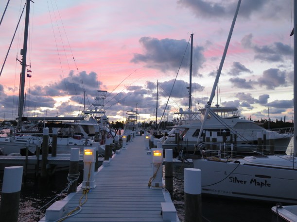 SAILING 2016 Jan 15 to Jan 27 129