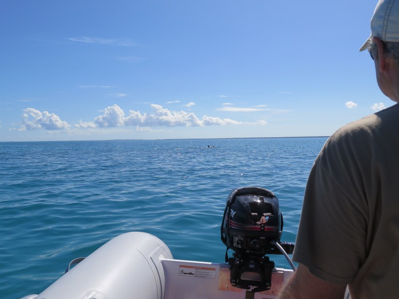 SAILING 2016 Jan 27 to Feb 5 054