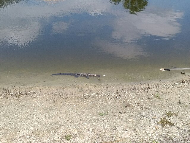 IMG_20170412_1336510