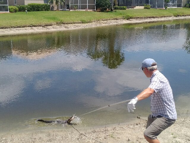 IMG_20170412_1336545